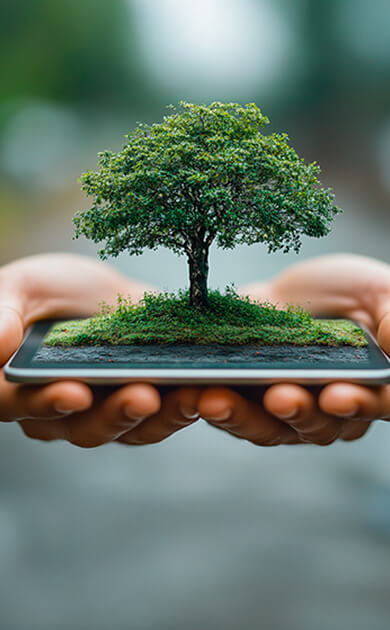 Gestión ambiental