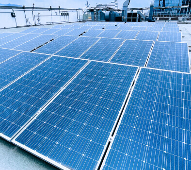 Impulsamos una ciudad más sostenible fomentando el cuidado del medio ambiente. - Comunidad
